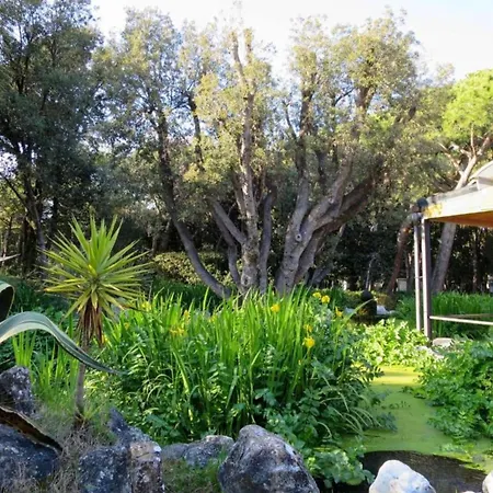 Chalet Pine-shaded Getaway W Pool Baia Domizia